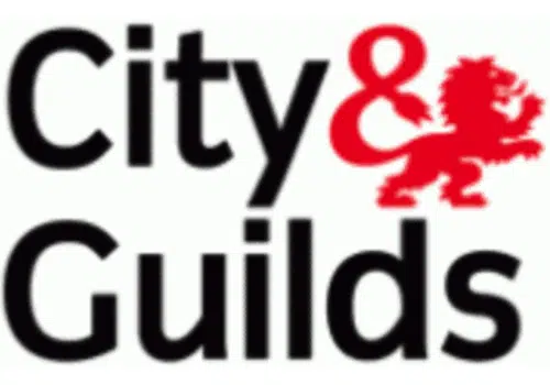city and guilds cropped 2